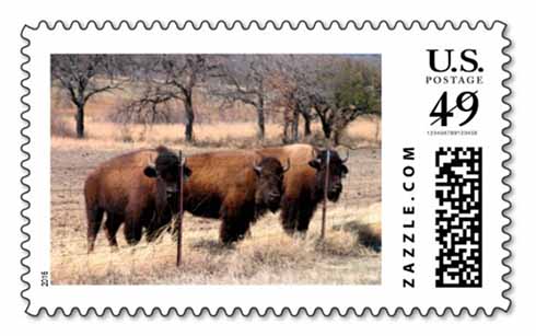 Bison Postage Stamp