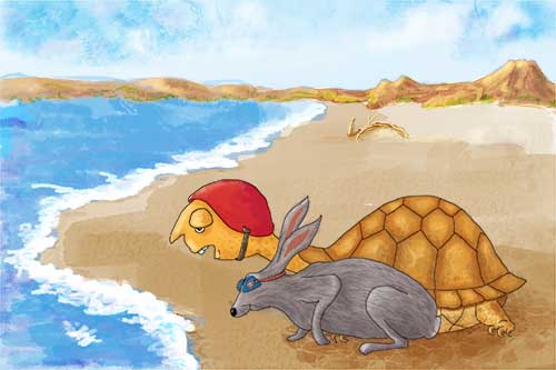 The Tortoise & The Hare’s New Adventure