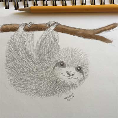 Smiling Sloth Sketch