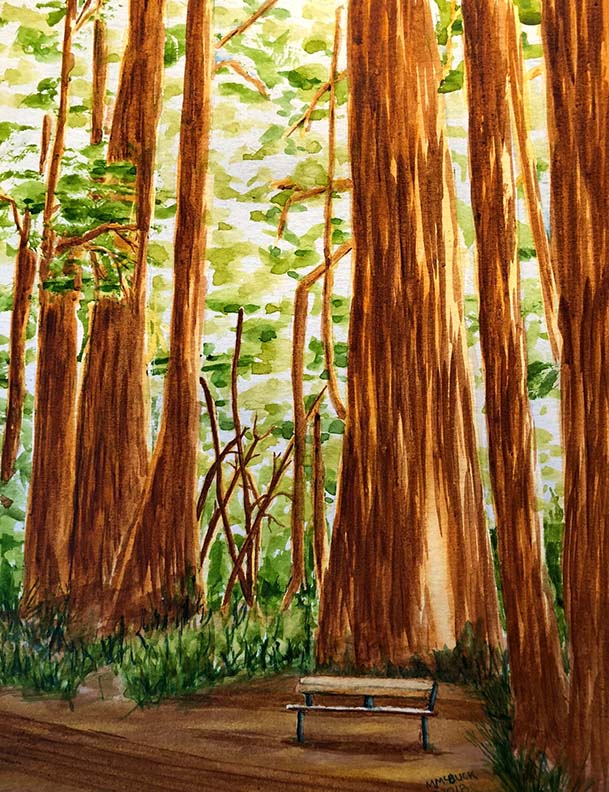 Redwoods Watercolor Painting